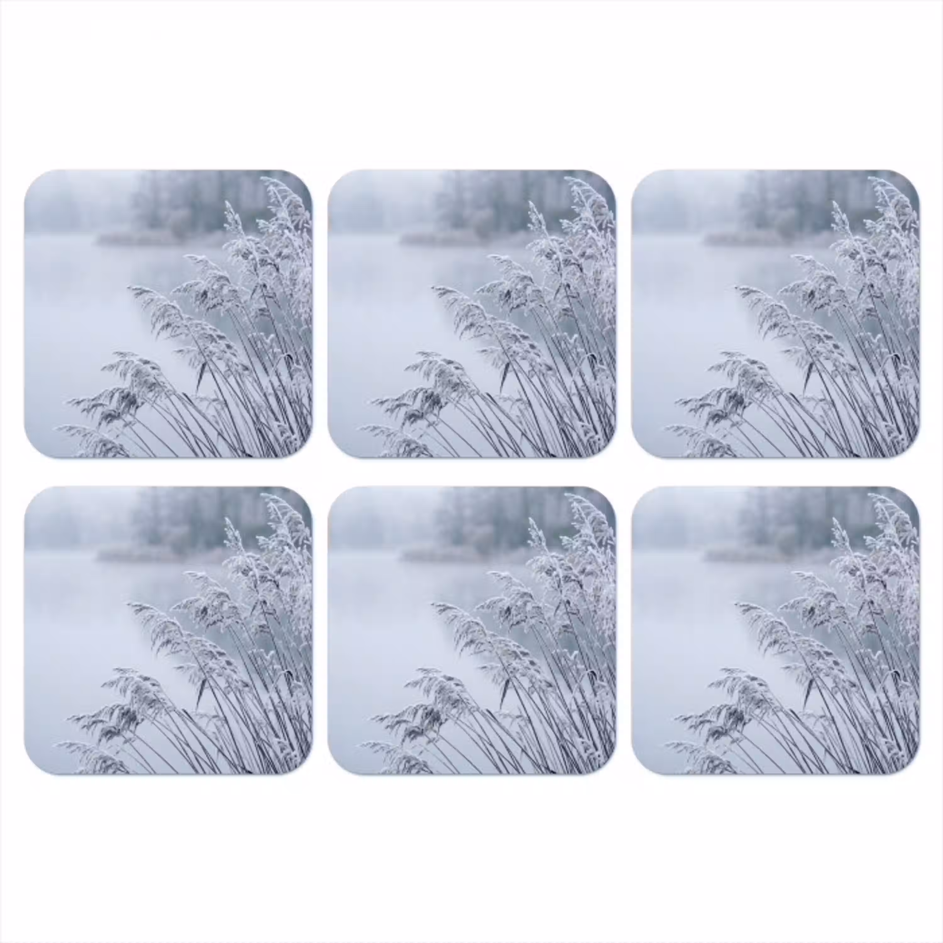 Riet - Bevroren - Winter - Natuur onderzetter kurk middel -3d