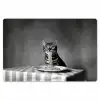 Bengaal - Kat - Tafelkleed - Zwart - Wit - Dier Placemat vinyl groot -zzsfeer1_Kitchenyeah-website