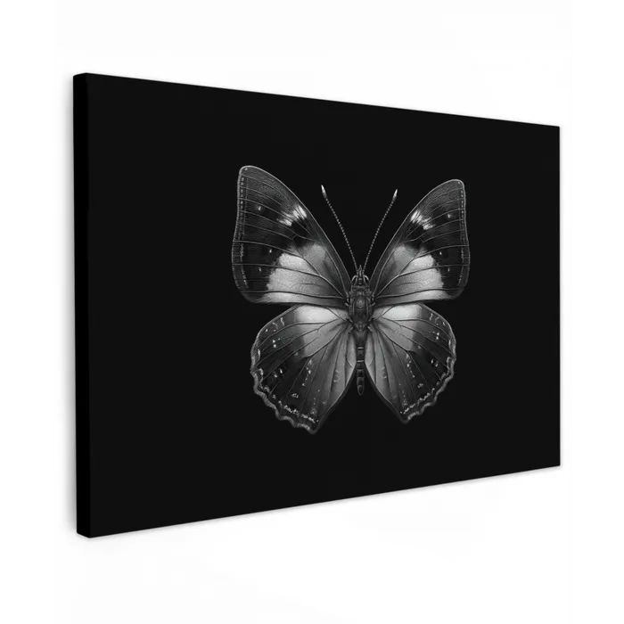 Vlinder - Grijs - Mysterieus canvas 2cm klein -z3d