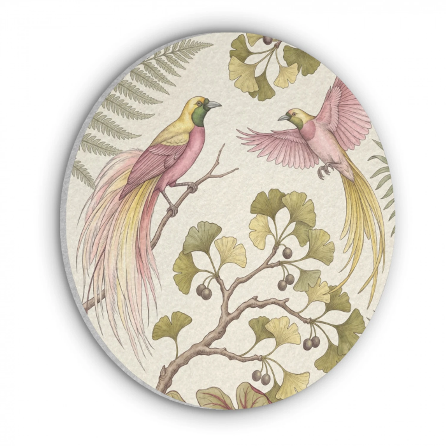Vogels - Tropisch - Botanisch - Roze Akoestische PET Vilt - Rond klein -3d