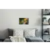 Pad - Bloemen - Park Muursticker klein -slaapkamer
