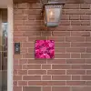 Roze rozen - Sierlijk Naambord Vierkant klein -sfeer7-XS