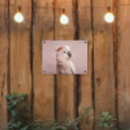 Kaketoe - Portret - Roze tuinposter los doek klein -sfeer1