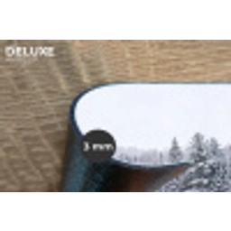 Meer - Dennen - IJs - Winter - Rustgevend Placemat vinyl groot -closeup