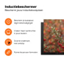 Goudvink - Bessen - Herfst - Natuur - Kleurrijk Inductie beschermer vinyl 3mm klein -zzzzzzz-td-ups