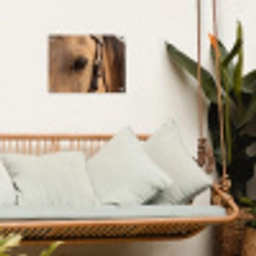 Paard - Oog - Bruin tuinposter los doek klein -sfeer7
