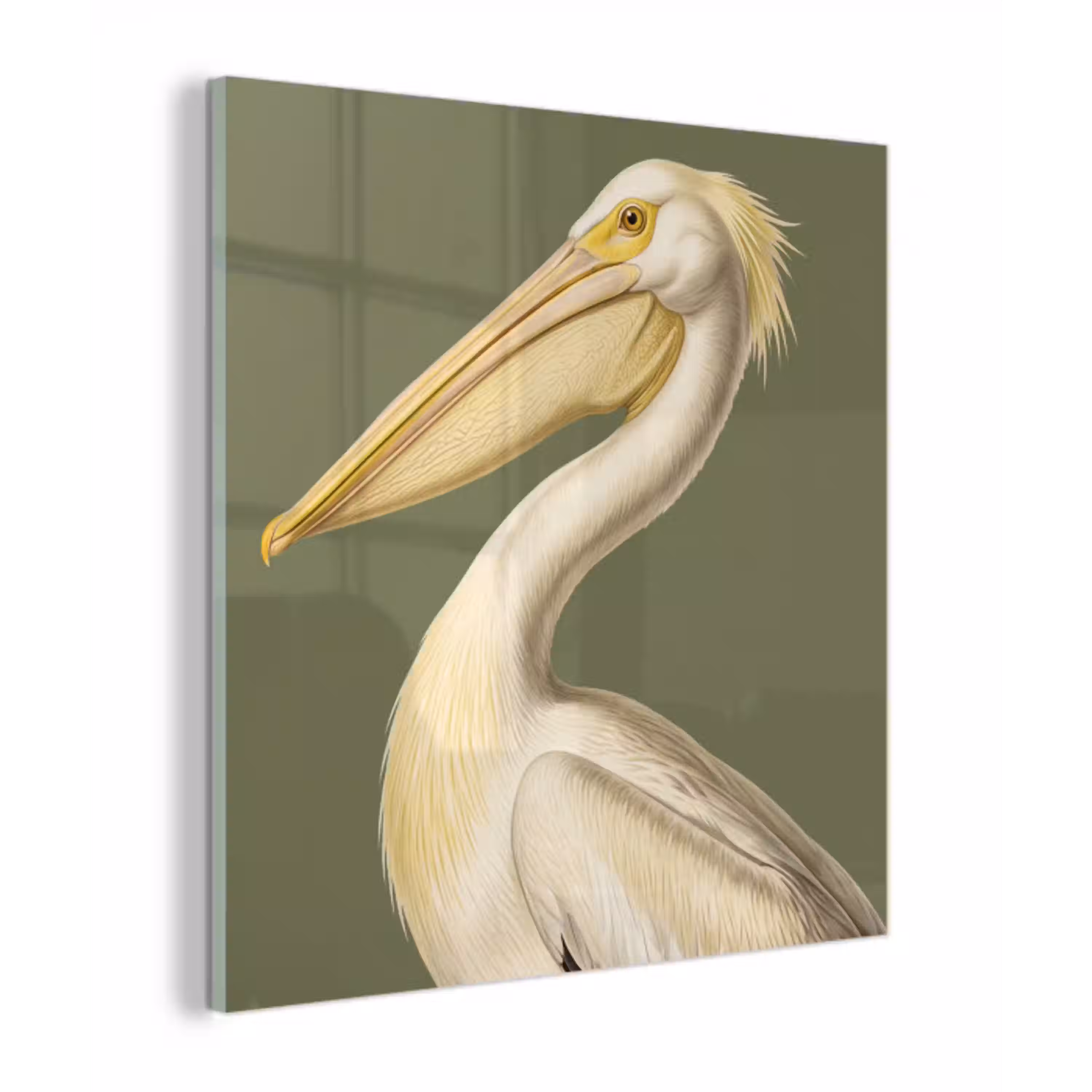 Pelikaan - Wit - Vogel - Klassiek - Natuur plexiglas 5mm klein -z3d