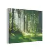 Natuur - Bomen - Bos - Groen - Zon - Gras - Planten PET vilt klein -3d