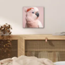 Kaketoe - Portret - Roze aluminium wit klein -sfeer3