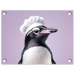 Pinguïn - Koksmuts - Lief - Paars tuinposter los doek klein -3d