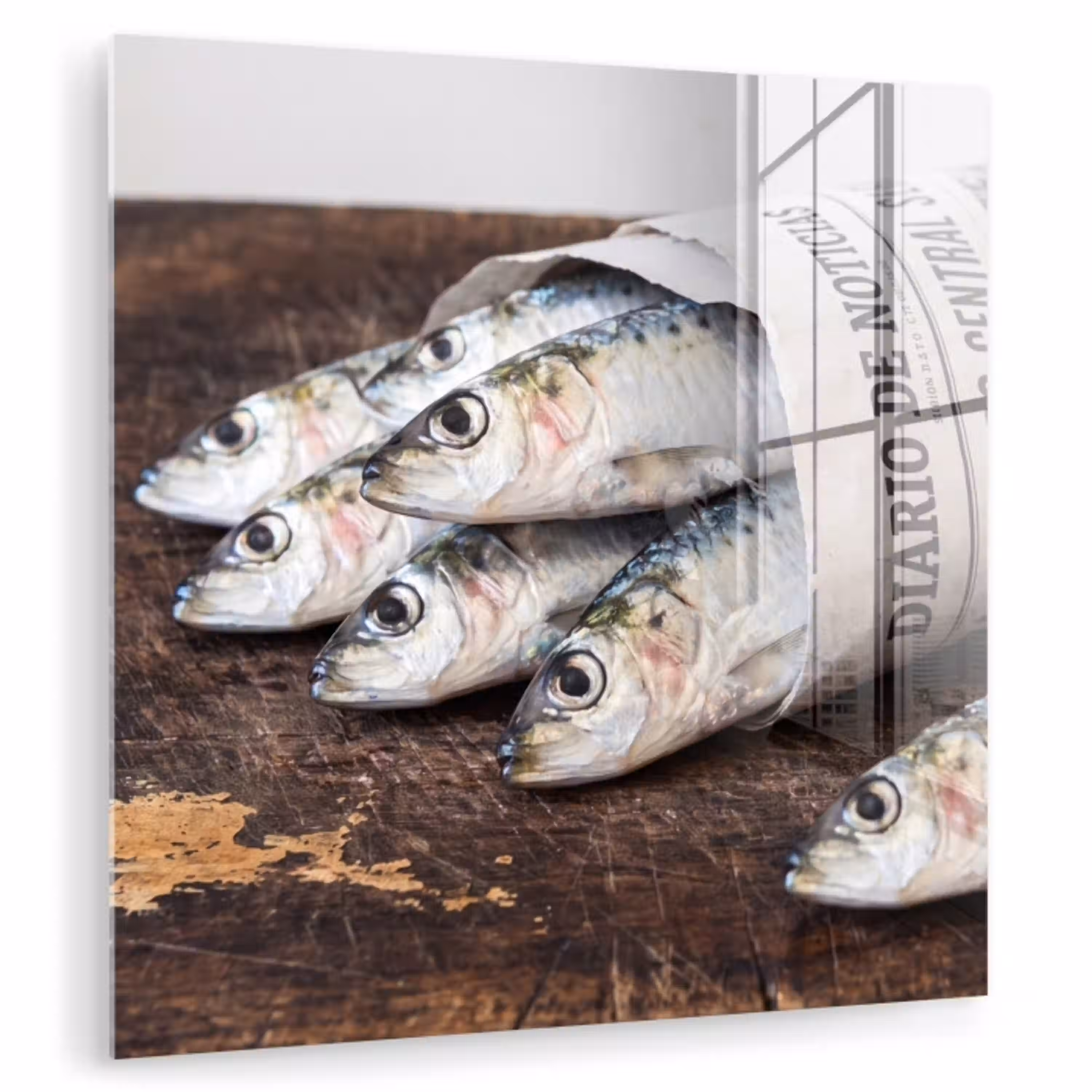 Sardientje - krant - snijplank plexiglas 5mm klein -zzzproduct_nieuw
