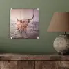 Schotse hooglanders - Licht - Lucht - Natuur plexiglas 5mm klein -sfeer3