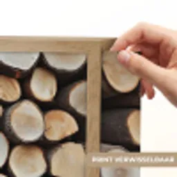 Hout - Boomstammen - Textuur Light Box met batterij (Wandlamp) middel -USP_websiteprintNL