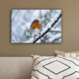 Roodborstje - Tak - Sneeuw - Winter - Levendig canvas 2cm klein -sfeer3