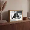 Aap - Spaghetti - Zonnebril - Zwart wit - Cool - Dier Light Box met batterij (Wandlamp) middel -sfeer2