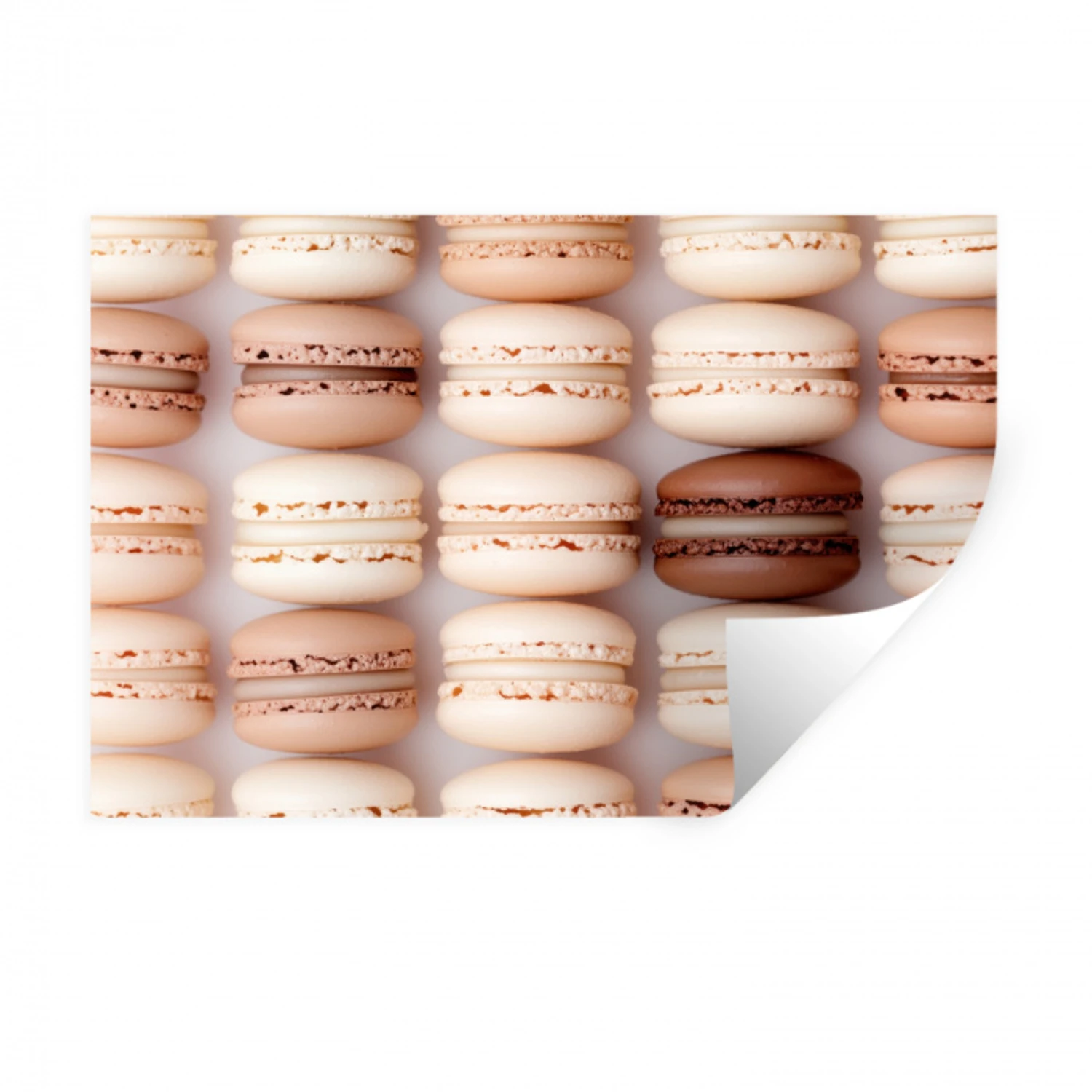 Macarons - Beige - Bruin Muursticker klein -3d