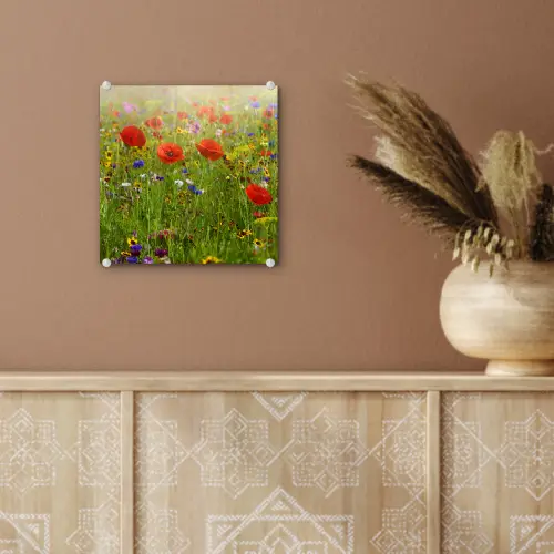 Lente - Bloemen - Rood - Klaproos - Gras - Groen plexiglas 5mm klein -sfeer5
