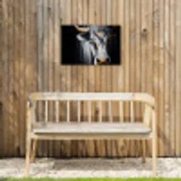 Stier - Hoorns - Snuit - Goud Tuinposter op houten frame 2 cm dik klein -sfeer4