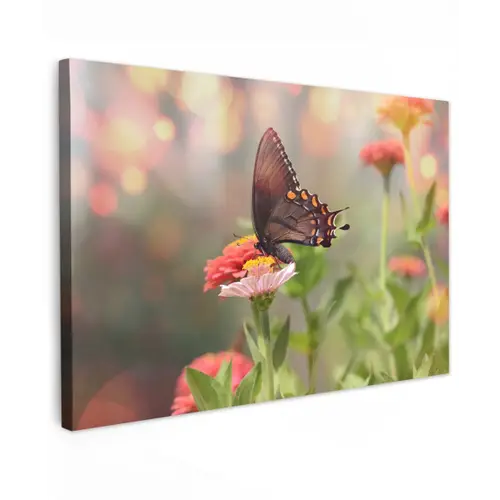 Vlinder op zomerbloem Tuinposter op houten frame 2 cm dik klein -3d
