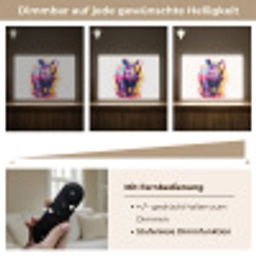 Neushoorn - Kleurrijk - Verf - Dieren Light Box met batterij (Wandlamp) middel -USP_dimbaarDE