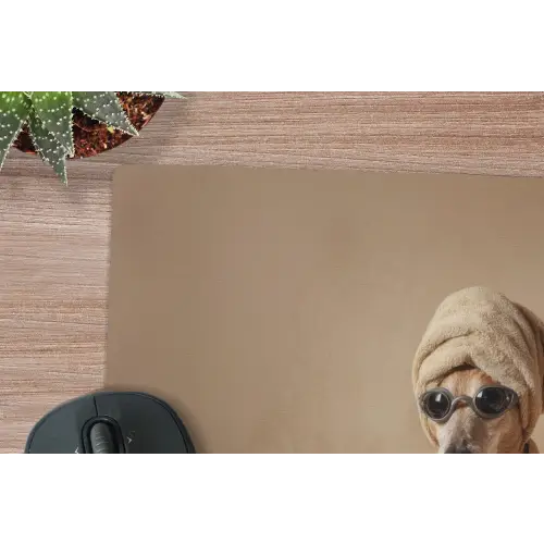 Bad - Hond - Boek - Zonnebril muismat rubber klein -closeup