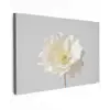 Bloem - Minimalistisch -Wit Tuinposter op houten frame 2 cm dik klein -3d