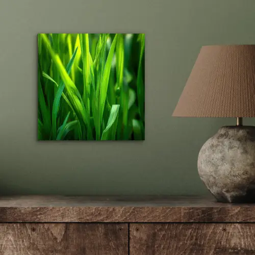 Grassprieten - Lichtinval - Groen aluminium wit klein -sfeer2