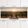 Wijngaard - Zonsondergang - Landschap keuken achterwand 2 middel -3d