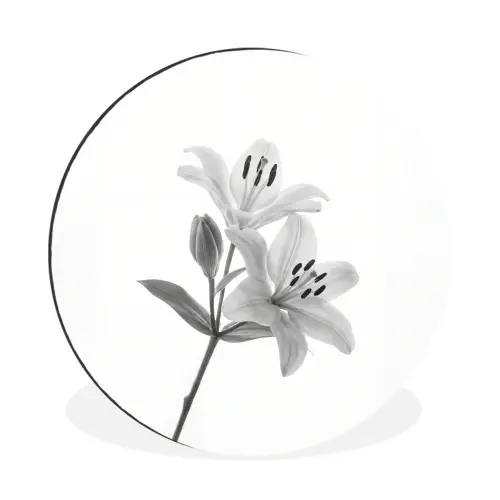 Lelies - Elegant - Zwart - Wit Wandcirkel aluminium klein -3d