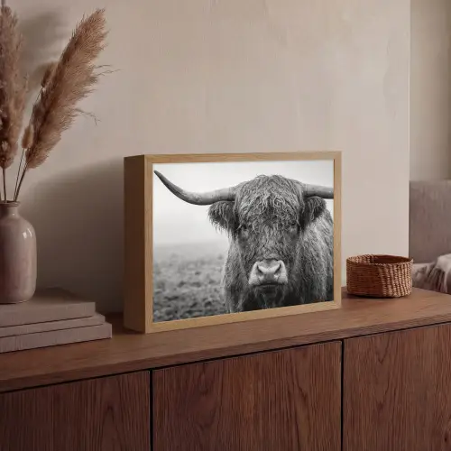 Schotse hooglander - Zwart - Wit - Gras Light Box met batterij (Wandlamp) middel -sfeer2