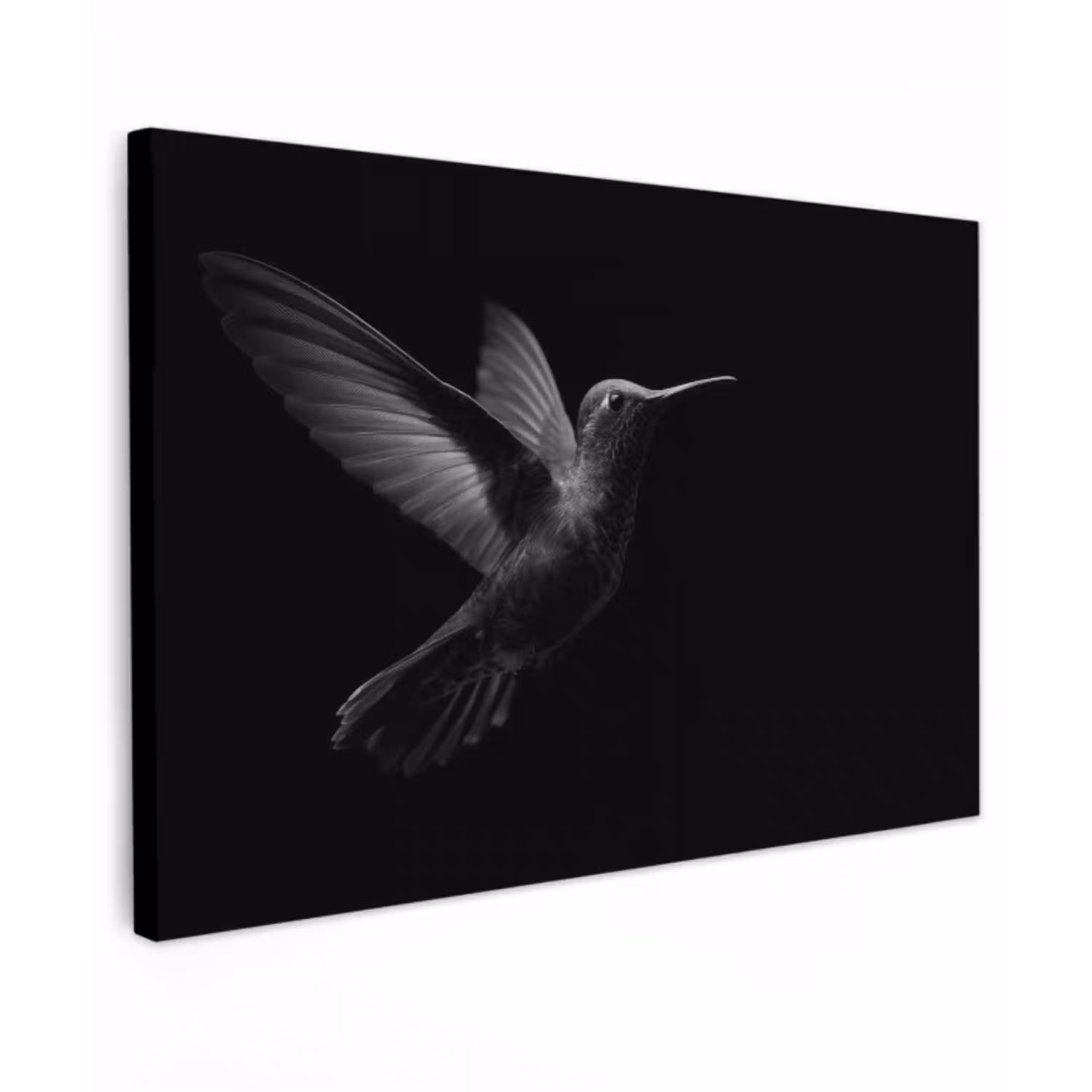 Kolibrie - Zwart - Dieren Tuinposter op houten frame 2 cm dik klein -3d