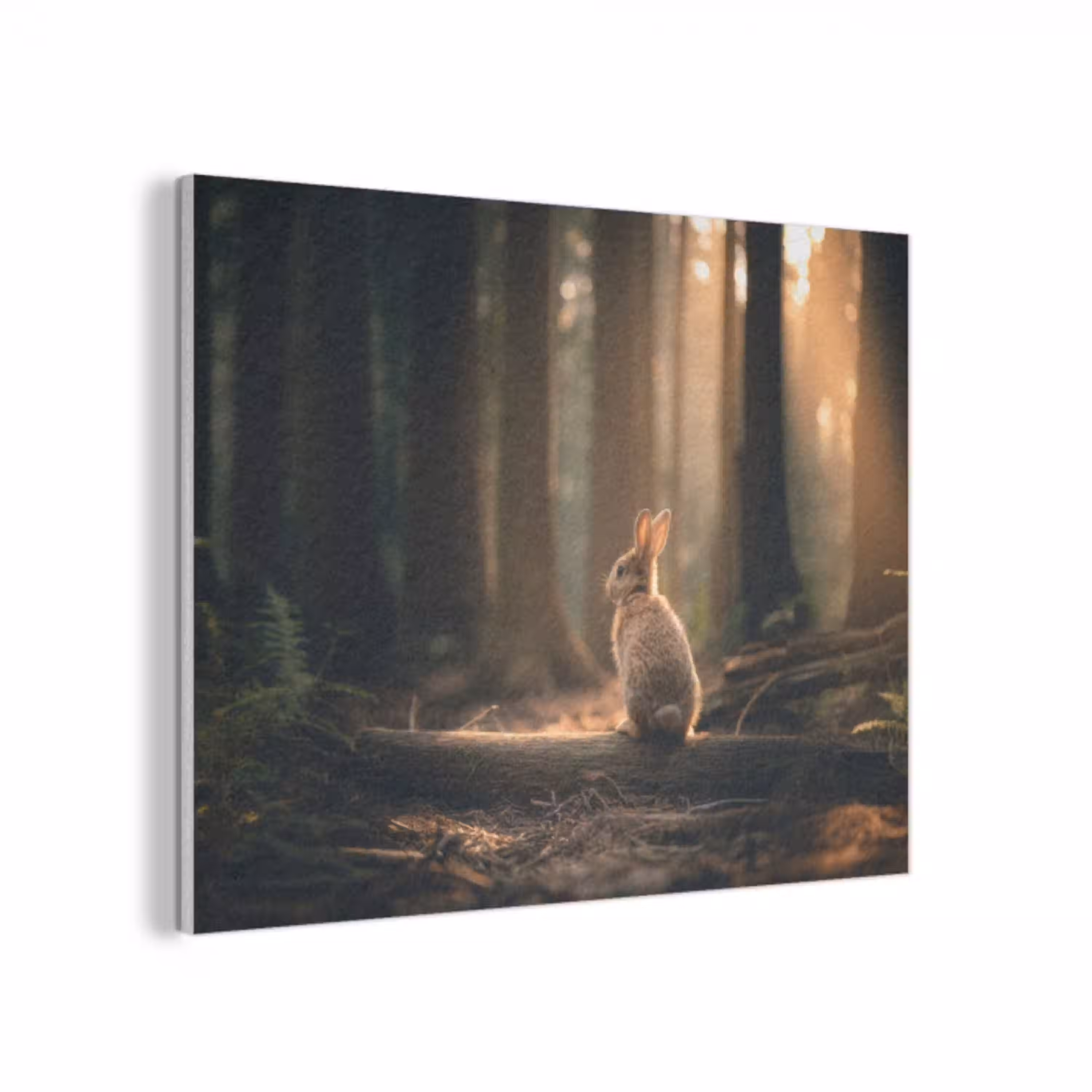 Konijn - Bos - Zonnestralen PET vilt klein -3d