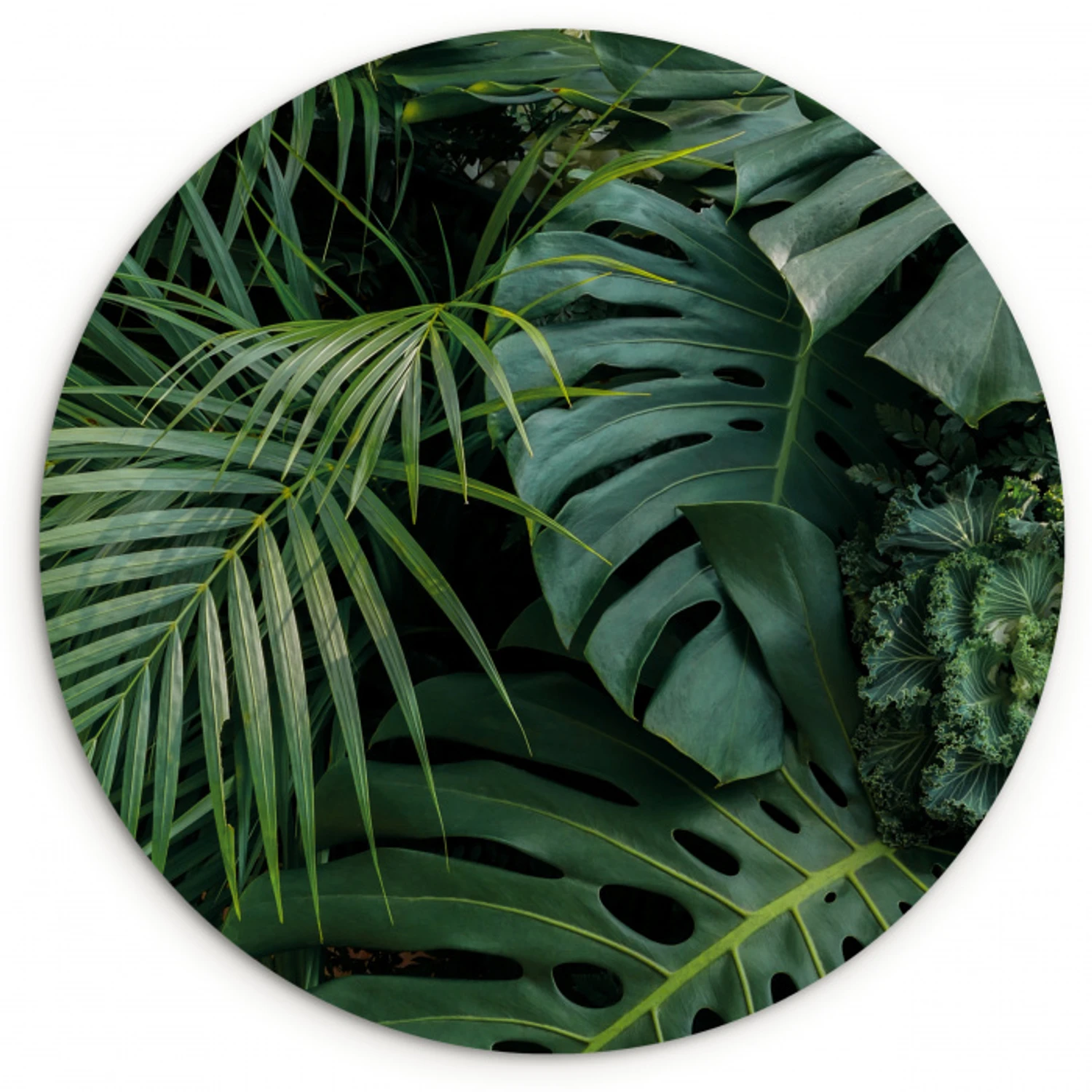 Planten - Jungle - Bladeren - Tropisch Wandcirkel kunststof plaat 5mm dik klein -3d