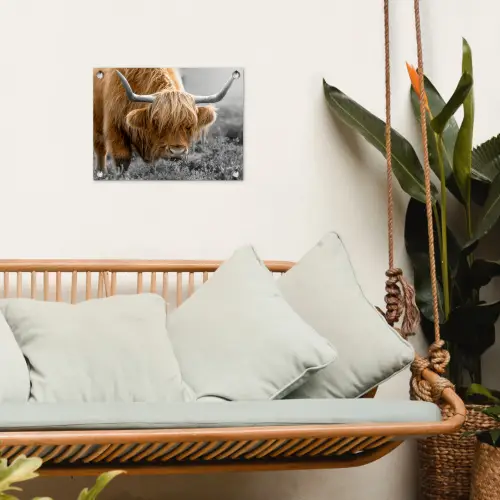 Schotse Hooglander - Dieren - Bruin - Koe - Zwart - Wit - Natuur tuinposter los doek klein -sfeer7