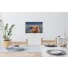 Schotse Hooglander - Koeienkop - Landschap - Natuur - Koe Muursticker klein -eettafel