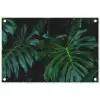 Monstera - Jungle - Bladeren tuinposter los doek klein -3d