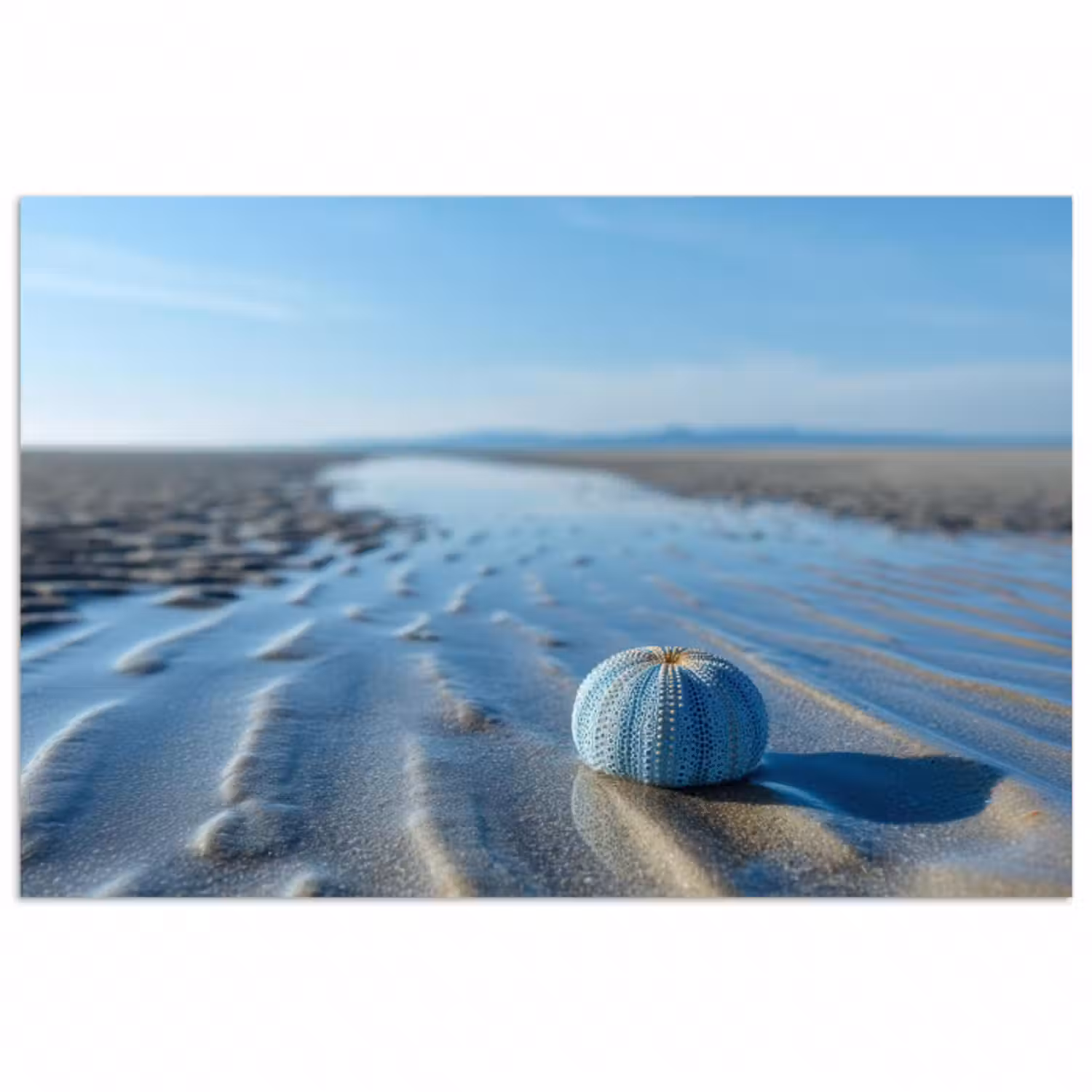 Poster - Strand - Schild - Wasser - Blau