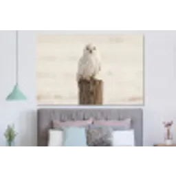 Sneeuwuil - Paal - Winter - Portret - Majestueus forex 5mm xxl -slaapkamer