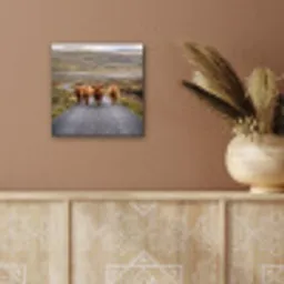 Schotse Hooglanders - Weg - Landschap - Kudde aluminium wit klein -sfeer4