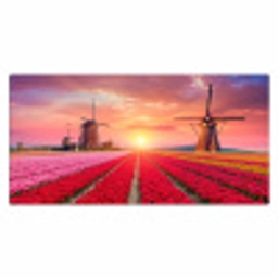 bloemen-tulpen-bloemenveld-molens-holland Muismat XXL klein -3d_leeg