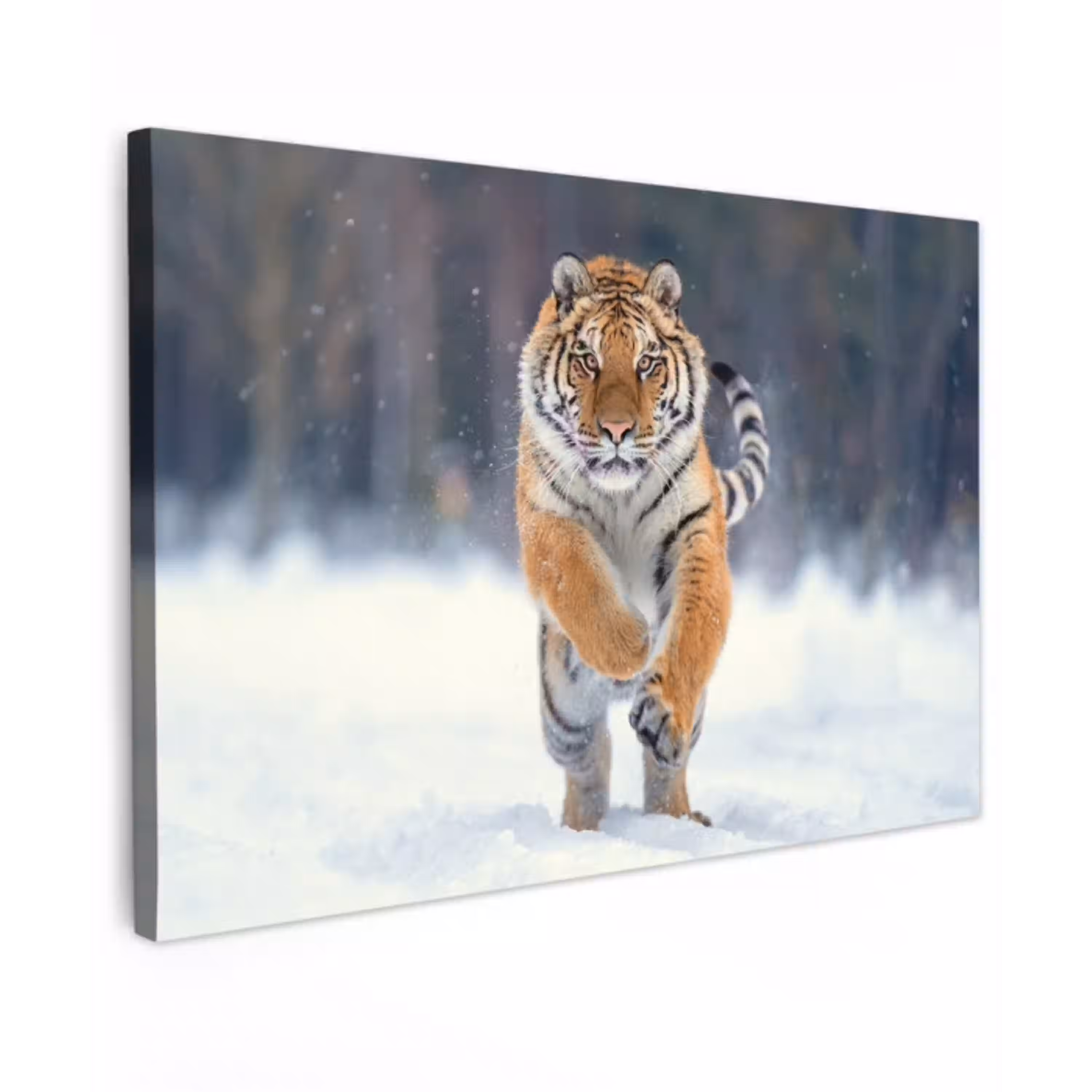 Tijger rennend door de sneeuw Tuinposter op houten frame 2 cm dik klein -3d
