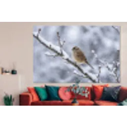 Vogel - Tak - Sneeuw - Winter forex 5mm xxl -woonkamer