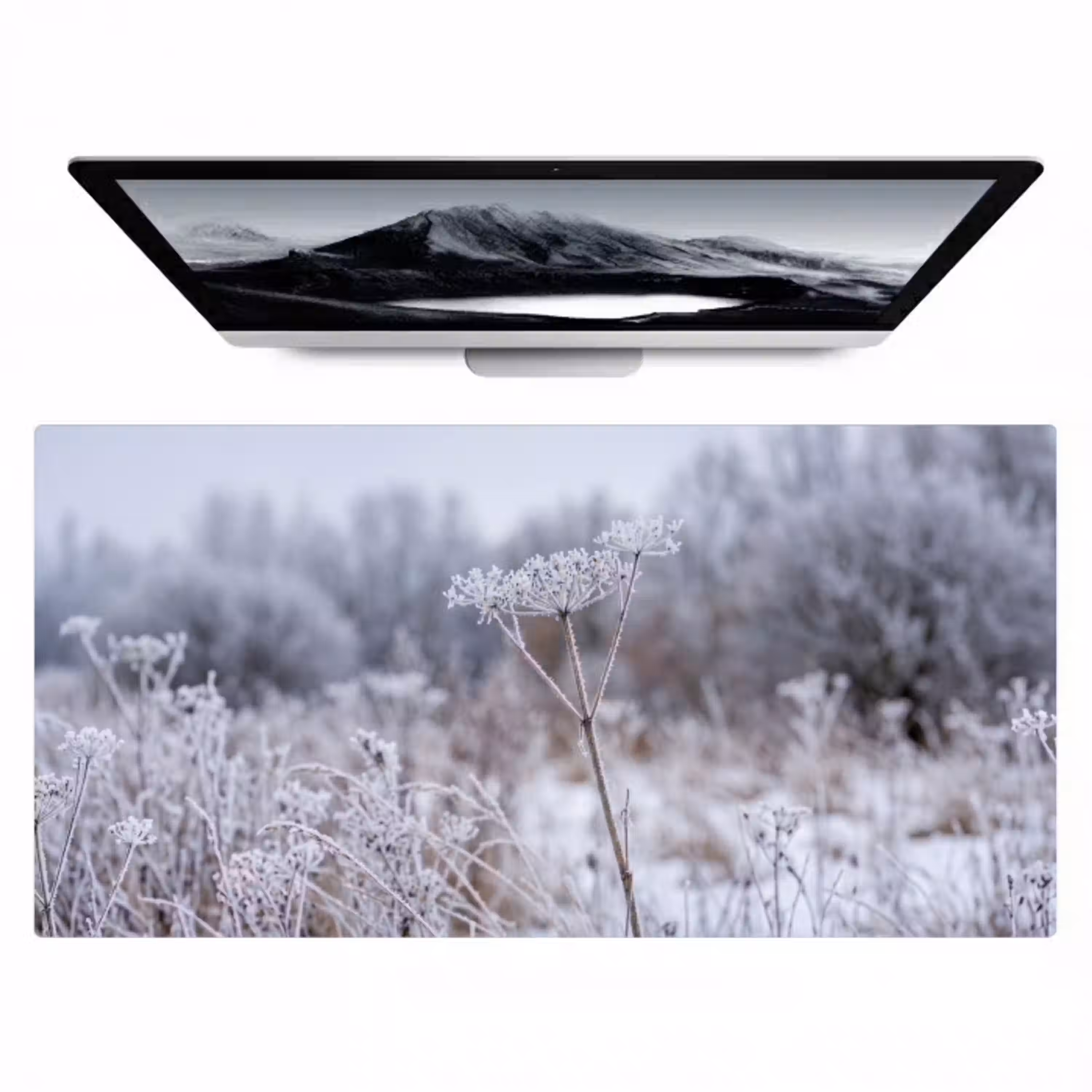 Schermbloem - Rijp - Kristallen - Winter - Delicaat Muismat XXL klein -zzz3d