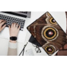 Vlinder - Vleugel - Abstract laptophoes neopreen klein -bureau