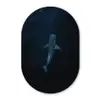 Oceaan - Walvishaai - Donkerblauw - Vlekken Wandcirkel Ovaal Glas middel -3d