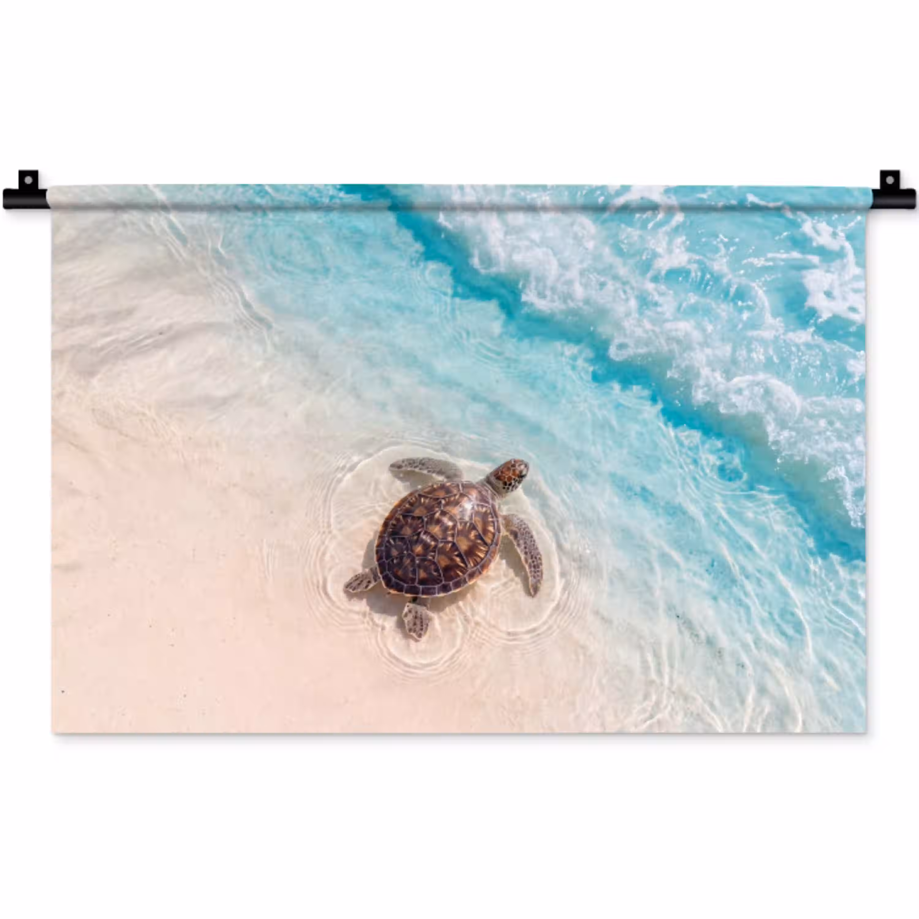 Schildpad - Helder water - Strand - Dieren - Natuur Wandkleed katoen klein -zz3d