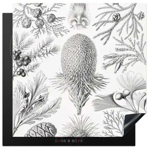 Coniferen - Ernst Haeckel - Kunst - Retro - Illustratie - Natuur Inductie beschermer vinyl 3mm middel -3d
