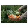 Veld - Groenten - Biologisch - Oogst Placemat vinyl groot -zzsfeer1_Kitchenyeah-website