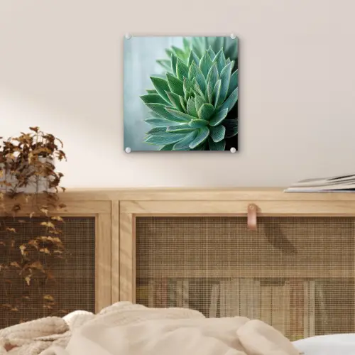 Vetplant - Bladeren - Groen - Wazig plexiglas 5mm klein -sfeer4