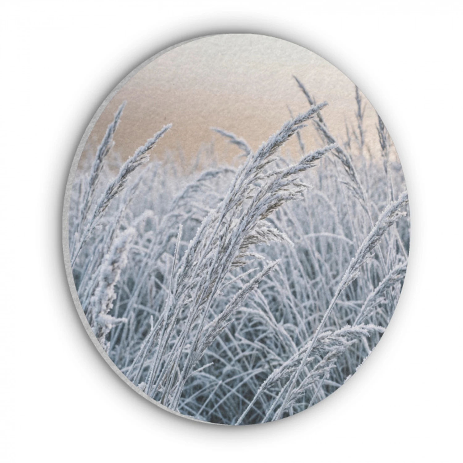 Rijp - Gras - Kristallen - Winter - Minimalistisch Akoestische PET Vilt - Rond klein -3d